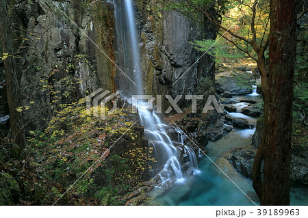 秋の渓谷に流れる観音滝 39189963