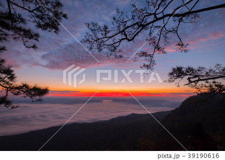 Phu Kradueng National Park Phu Kradueng National Park 39190616