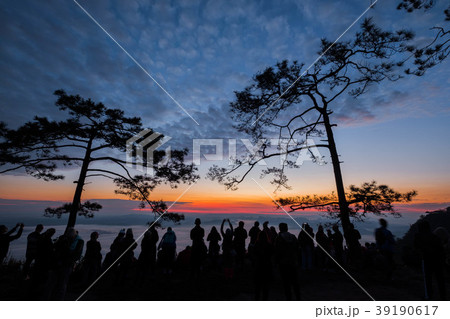 Phu Kradueng National Park 39190617