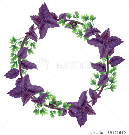 Round wreath of Basil and green parsley 39191610