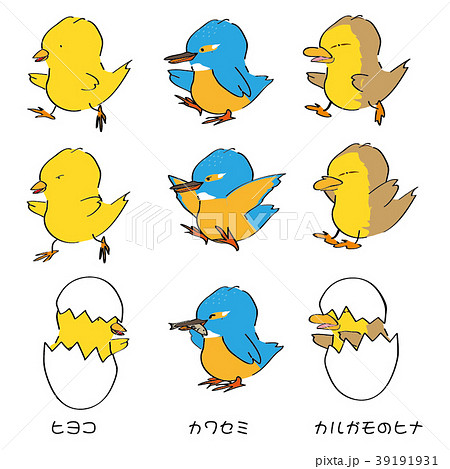 ヒヨコ，カワセキ，カルガモの子のイラスト素材 [39191931] - PIXTA
