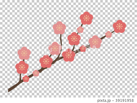 Cherry Blossoms Cherry Blossoms 39191958