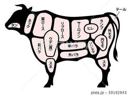 牛肉 ビーフ 部位 白背景 牛肉 ビーフ 部位 白背景 39192643