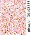 桜-花弁-絨毯-パターン背景-連続模様-リアル3 39192888