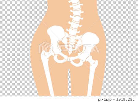 人體骨骼骷髏膚色 39193283
