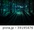 林と光 39195876