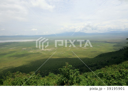 ンゴロンゴロ国立公園 ンゴロンゴロ国立公園 39195901