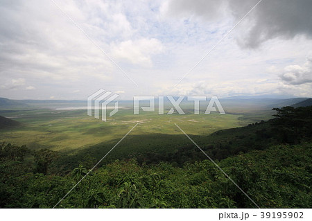 ンゴロンゴロ国立公園 39195902