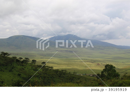 ンゴロンゴロ国立公園 ンゴロンゴロ国立公園 39195919