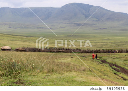 ンゴロンゴロ国立公園 39195928