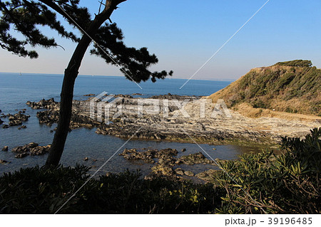 神奈川県三浦市・荒崎の磯 39196485
