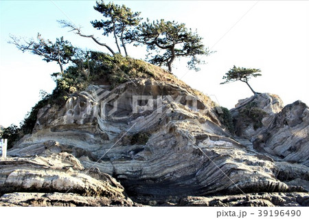 神奈川県三浦市・荒崎の弁天島 39196490