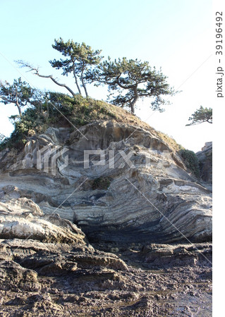 神奈川県三浦市・荒崎の弁天島 39196492