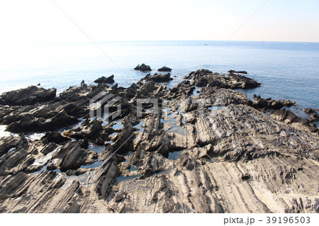 神奈川県三浦市・荒崎の鬼の洗濯板 39196503