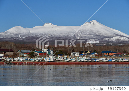 早春の快晴の青空をバックに北海道鹿部町鹿部港と砂原岳、駒ヶ岳の風景を撮影 39197340