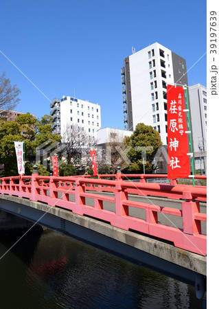 鎮守橋(荏原神社) 鎮守橋(荏原神社) 39197639