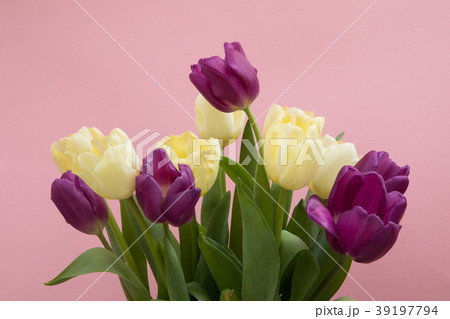 Tulip flowers postcard Tulip flowers postcard 39197794