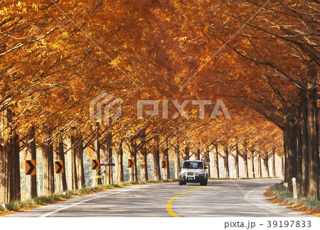 秋 木 車線 39197833