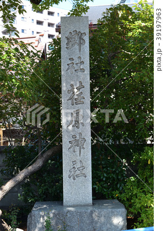 荏原神社(品川) 荏原神社(品川) 39197963