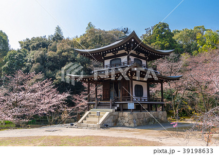 春の勧修寺 春の勧修寺 39198633