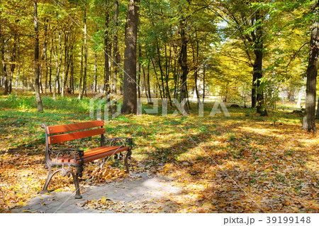 Beautiful autumn park with paths and benches. 39199148