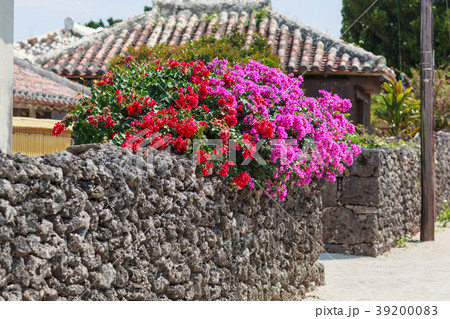 竹富島　町並み　風景　道 39200083