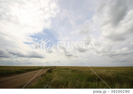 セレンゲティ原風景 39200290