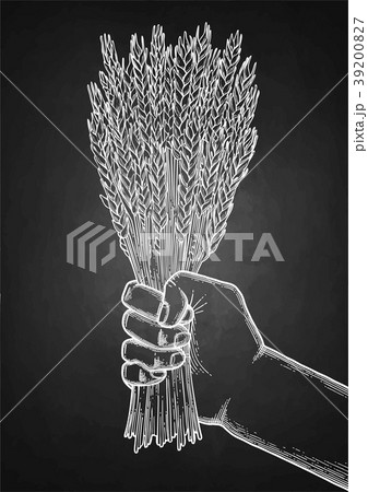 Graphic hand with malt bunch Graphic hand with malt bunch 39200827