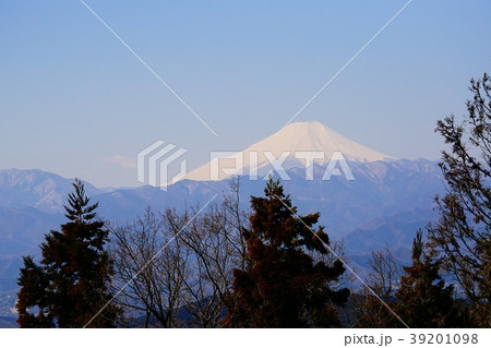 景信山からの富士山 39201098