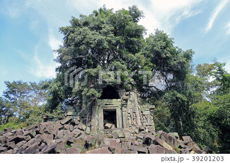 ベンメリア 39201203