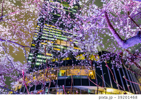 【東京都】夜桜 39201468