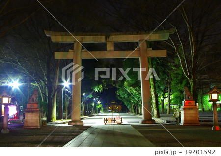 夜の大國魂神社 夜の大國魂神社 39201592