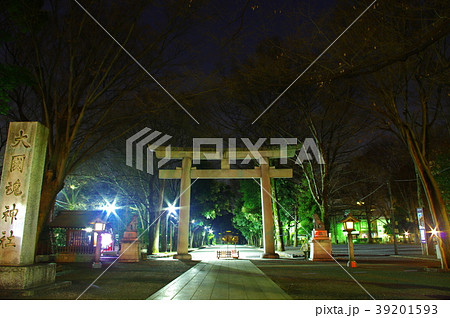 夜の大國魂神社 39201593