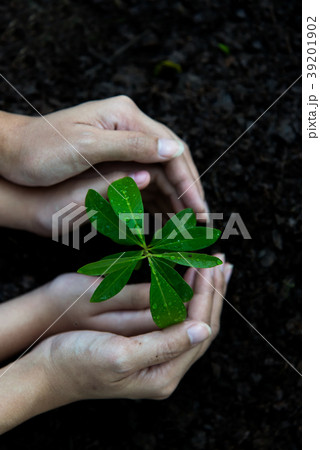 Hands child and mother holding young plants  39201902