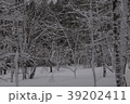 上川町 39202411