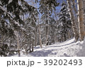 層雲峡 39202493