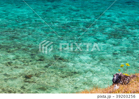 Top view of transparent shallow turquoise ocean se Top view of transparent shallow turquoise ocean se 39203256