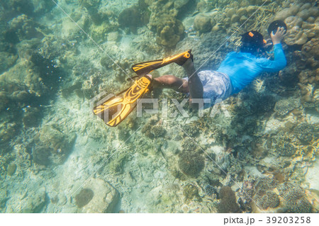 snorkeling diver make a free diving on tropical re 39203258