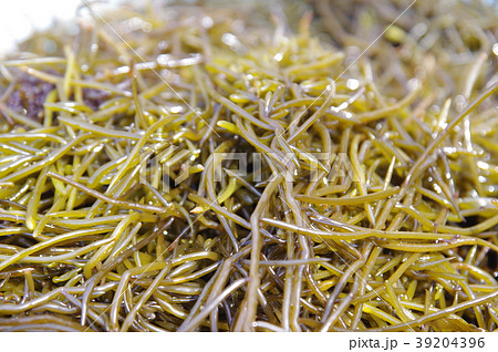 ひじき 39204396