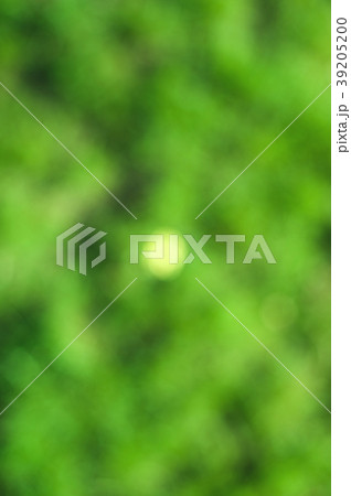 Blur background dream bokeh leaf sunny day Blur background dream bokeh leaf sunny day 39205200