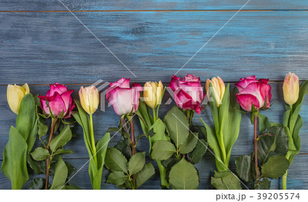 Row flowers on a blue background 39205574