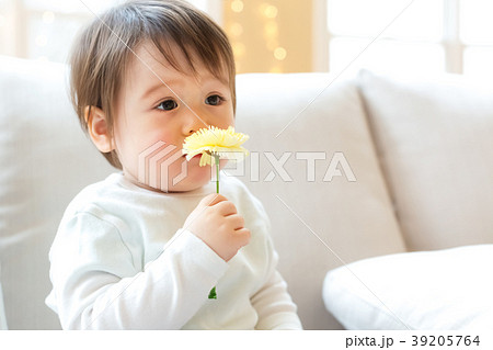 Toddler boy with spring flower 39205764