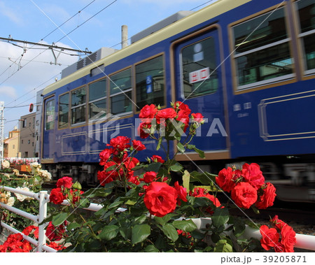 都電荒川線 荒川車庫近くの青い電車　さくらトラム 39205871