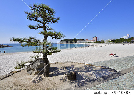 白浜 白良浜 しららはま 和歌山県西牟婁郡白浜町の写真素材