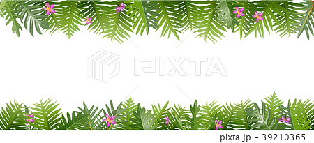 Exotic tropical leaf and frower border background Exotic tropical leaf and frower border background 39210365