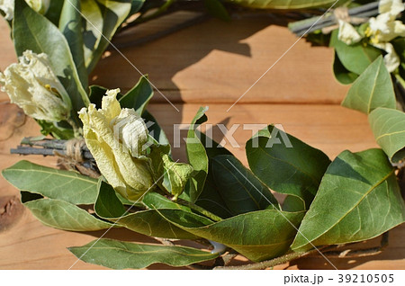 ローリエのリース 39210505