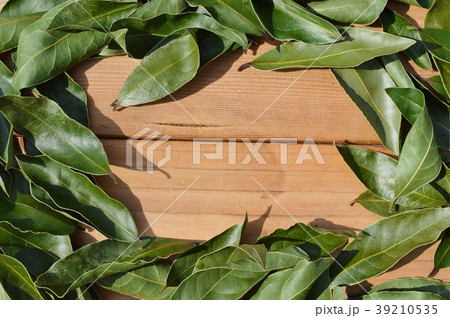 ローリエの額縁 39210535