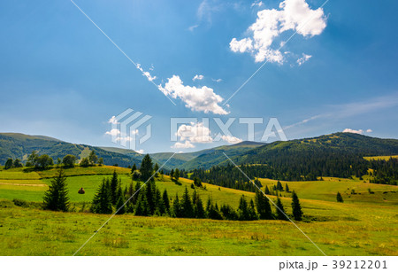 beautiful countryside summer landscape beautiful countryside summer landscape 39212201