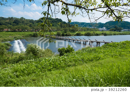島根県雲南市木次町の斐伊川にかかる冠水橋 39212260