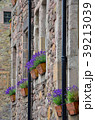 Bouquet of lavender in a rustic decorative setting 39213039